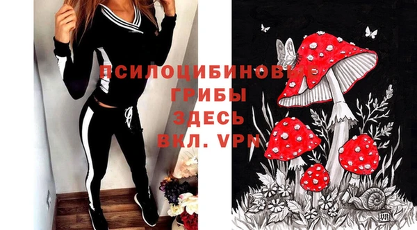 эйфоретик Балахна