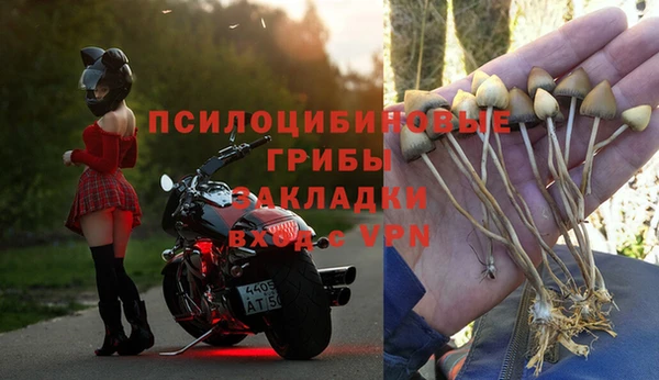 эйфоретик Балахна