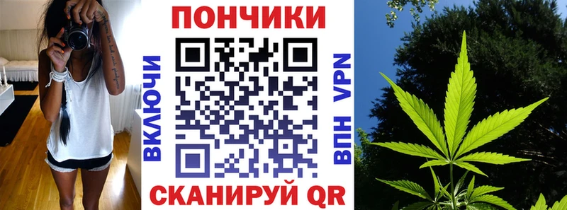 Купить закладки  Лодейное Поле  Марихуана сатива 